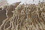 Click to see Y_MG_0550-BETA.JPG