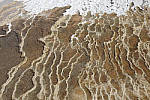 Click to see Y_MG_0550-RAW-BETA.JPG
