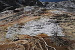 Click to see Y_MG_0551-BETA.JPG