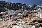 Click to see Y_MG_0558-BETA.JPG