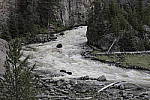 Click to see Y_MG_0593-BETA.JPG