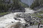 Click to see Y_MG_0637-BETA.JPG