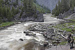Click to see Y_MG_0638-RAW-BETA.JPG