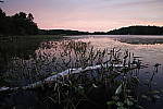 Click to see Y_MG_1056.JPG