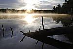 Click to see Y_MG_1068.JPG