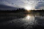 Click to see Y_MG_1087.JPG