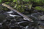 Click to see Y_MG_1131-MOD.JPG