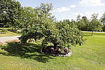 Click to see Y_MG_1794-VIDEO-COMP-STILL.JPG