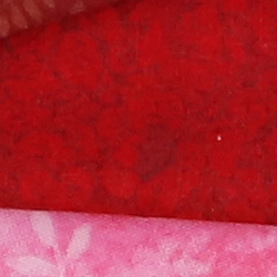 100% crop from  Canon 6D Mark II test image taken at ISO 1600