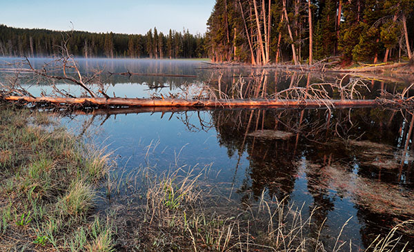 Canon 6D II Review: Hands On -- Gallery Image