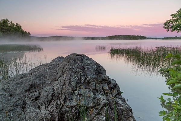 Canon 6D II Review: Field Test -- Gallery Image