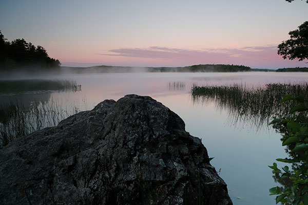 Canon 6D II Review: Field Test -- Gallery Image