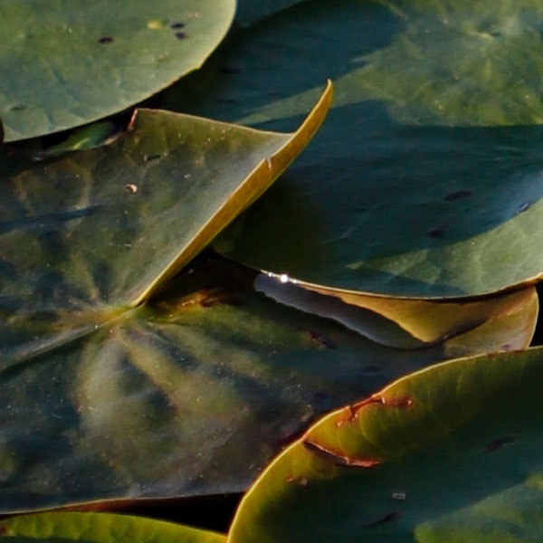 Canon 6D II Review: Field Test -- Gallery Image