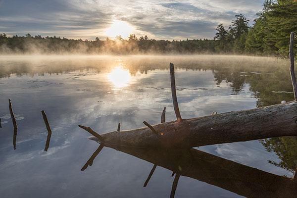 Canon 6D II Review: Field Test -- Gallery Image
