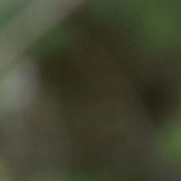 Canon 6D II Review: Field Test -- Gallery Image