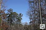 Click to see E6DPINE.JPG