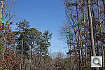 Click to see E6DPINE_ACRu250r06.JPG