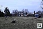 Click to see YIMG_1731.JPG