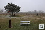 Click to see YIMG_1801.JPG