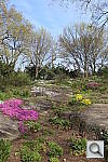 Click to see YIMG_1923.JPG