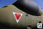 Click to see YIMG_R1828.JPG