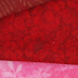 100% crop from Canon 6D test image taken at ISO 1600