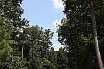 Click to see E70DPINE_DPP.JPG