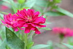 Click to see YIMG_0070.JPG