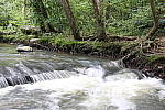 Click to see YIMG_1905.JPG
