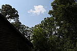 Click to see YIMG_2031-HDR1EV.JPG