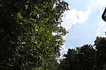 Click to see YIMG_2048-HTPoff.JPG
