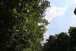 Click to see YIMG_2049-HTPon.JPG