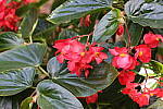 Click to see YIMG_2057-MSNR-Off.JPG