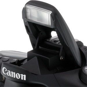 Canon 70D review -- iFCL metering sensor