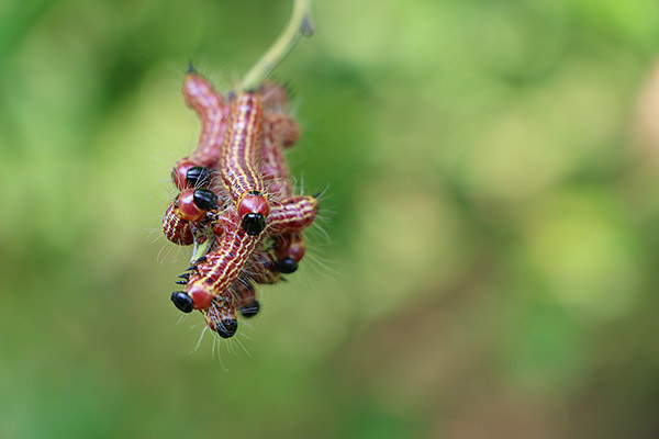 Canon 70D review -- Sample image