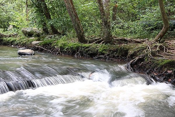 Canon 70D review -- Sample image