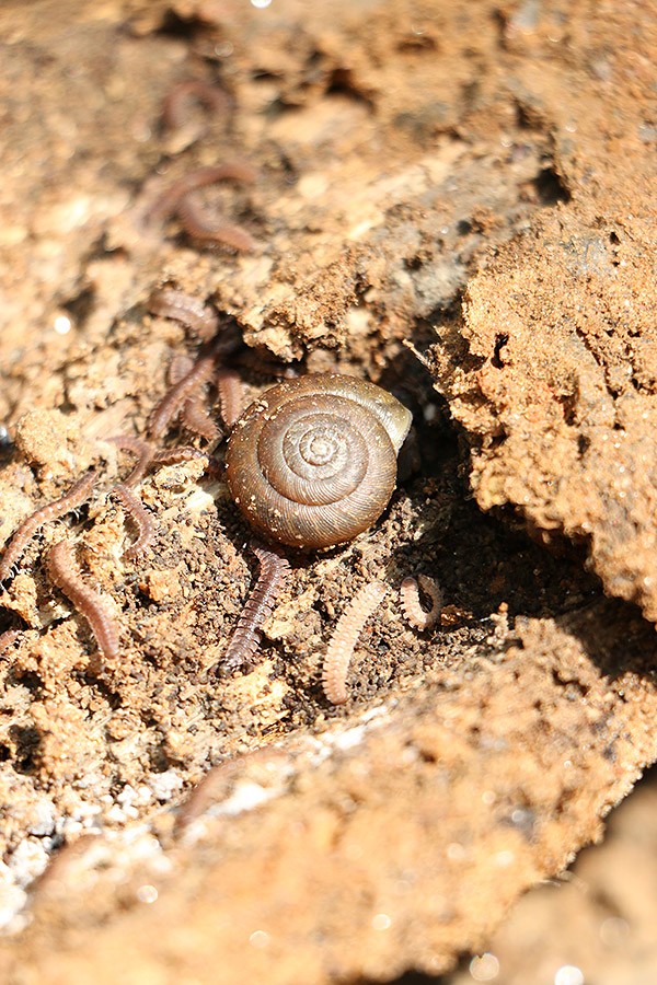 Canon 70D review -- Sample image