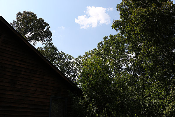 Canon 70D review -- Sample image