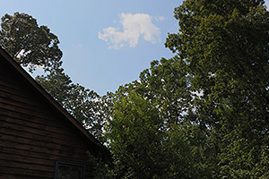 Canon 70D review -- Sample image