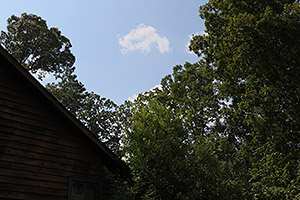 Canon 70D review -- Sample image