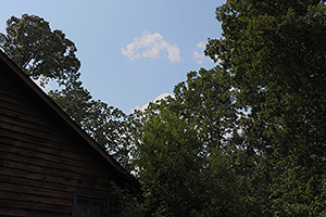 Canon 70D review -- Sample image