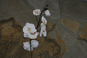 Canon 70D review -- Sample image
