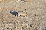 Click to see YIMG_2222.JPG