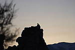 Click to see YIMG_2275.JPG