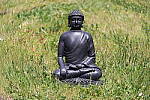 Click to see YIMG_6887.JPG