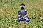 Click to see YIMG_6891.JPG