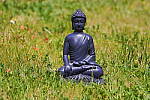 Click to see YIMG_6892.JPG
