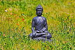 Click to see YIMG_6893.JPG