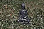 Click to see YIMG_6894.JPG