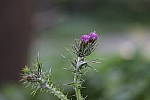 Click to see YIMG_7163.JPG